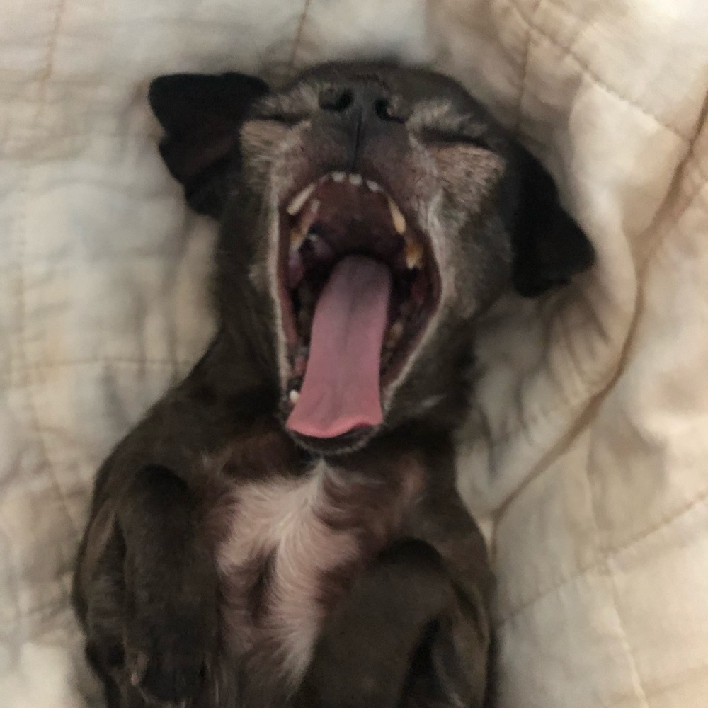 Meet your Posher, Trinity